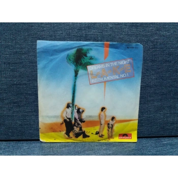 LAKE DREAMS IN THE NIGHT