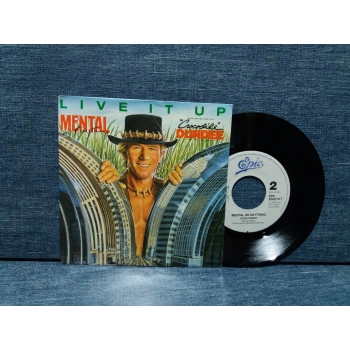 MENTAL AS ANYTHING LIVE IT UP