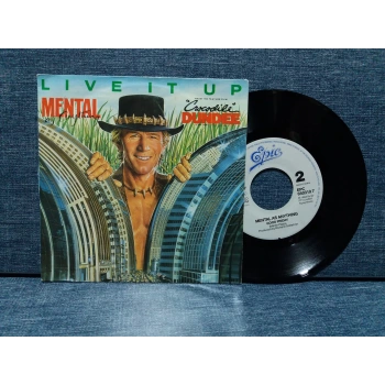 MENTAL AS ANYTHING LIVE IT UP