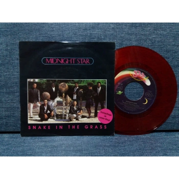 MIDNIGHT STAR SNAKE IN THE GRASS  (RENKLİ PLAK)