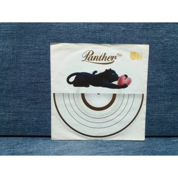 PANTHER REX GOODBYE MY LOVE - ITS NOT EASY