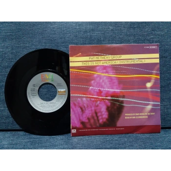 PAT METHENY DAVID BOWIE THIS IS NOT AMERICA