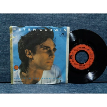 PETER GODWIN BABYS IN THE MOUNTAIN