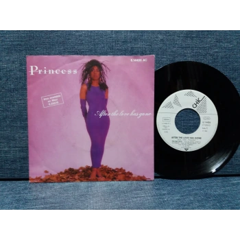 PRINCESS AFTER THE LOVE HAS GONE