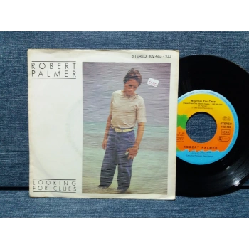 ROBERT PALMER LOOKING FOR CLUES