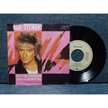 ROD STEWART WHAT I AM I GONNA DO