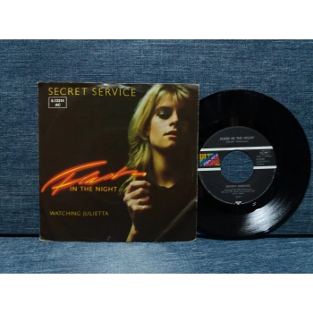 SECRET SERVICE FLASH IN THE NIGHT