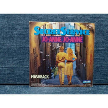 SECRET SERVICE  JO ANNE FLASHBACK