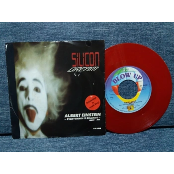 SILICON DREAM ALBERT EINSTEIN ( RENKLİ PLAK)