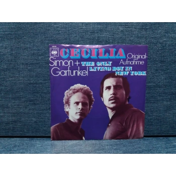 SIMON GARFUNKEL ONLY LIVING BOY IN NEW YORK