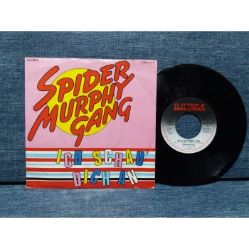 SPIDER MURPHY GANG SCHAU DICHAN