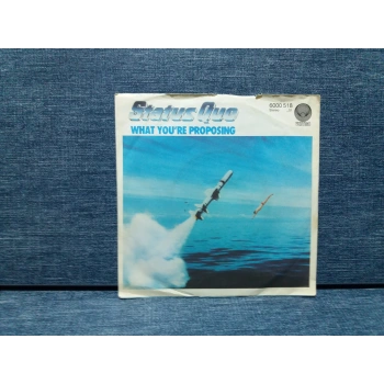 STATUS QUO WHAT YOURE PROPOSING