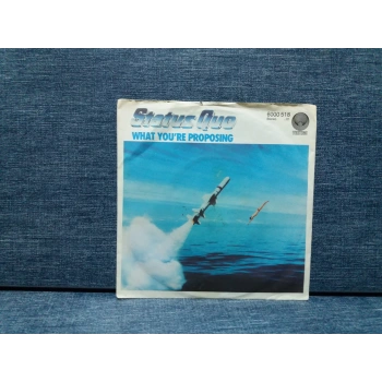 STATUS QUO WHAT YOURE PROPOSING