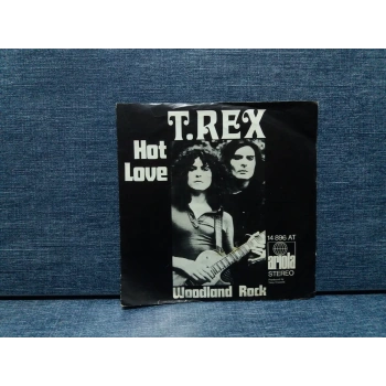 T REX HOT LOVE