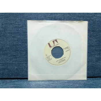 TINA TURNER FIRE DOWN BELOW - ROOT TOOT