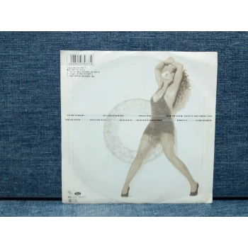 TINA TURNER STEAMY WINDIOWS