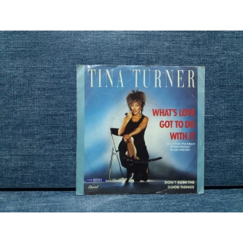 TINA TURNER WHATS LOVE GOT TO DO WHIT IT