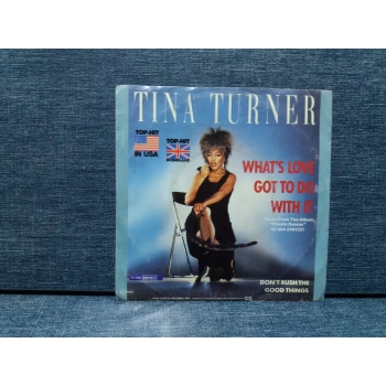 TINA TURNER WHATS LOVE GOT TO DO WHIT IT