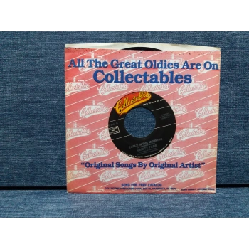 VANITY FARE HITCHIN A RIDE