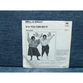 WEATHER GIRLS WELL A WIGGY