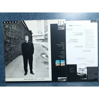 BLACK WONDERFUL LIFE LP