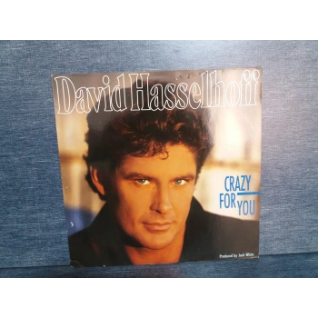 DAVID HASSELHOFF CRAZY FOR YOU MUSIC LP