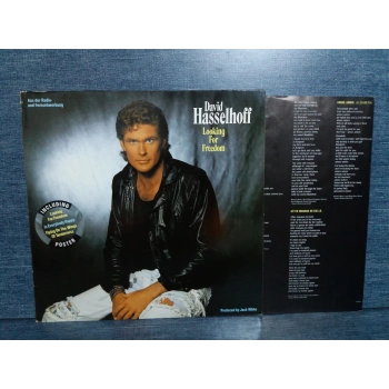 DAVID HASSELHOFF LOOKING FOR FREEDOM MUSIC LP