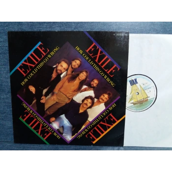 EXILE HOW COULD THIS GO WRONG MAXI LP