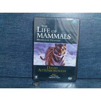 MEMELİLERİN DÜNYASI DVD FİLM