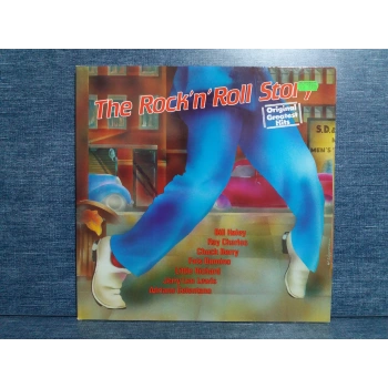 ROCK N ROLL STORY HITS MUSIC 2 LP