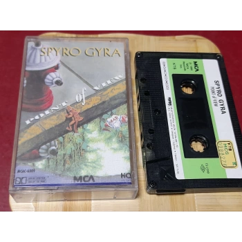 SPYRO GYRA POINT OF VIEW MÜZİK KASET