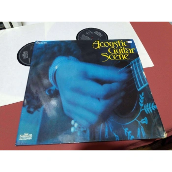 ACOUSTIC GUITAR SCENE    2 LP