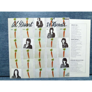 AL STEWART 24 CARROTS