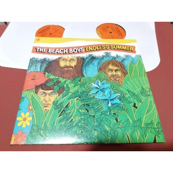 BEACH BOYS ENDLESS SUMMER   2 LP