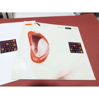 BOYS DONT CRY WHO THE