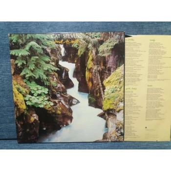 CAT STEVENS BACK TO EARTH