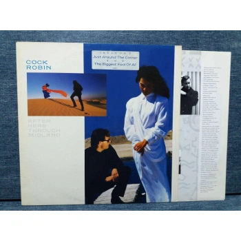 COCK ROBIN MUSIC LP ALBUM