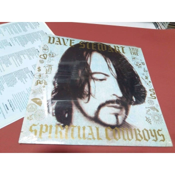 DAVE STEWART (EURYTHMICS) SPIRITUAL COWBOYS
