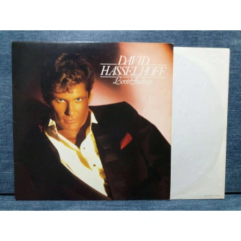 DAVID HASSELHOFF LOVIN FEELINGS