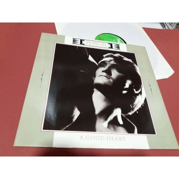 FEARGAL SHARKEY A GOOD HEART