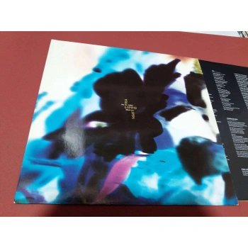 FRA LIPPO LIPPI COLOUR