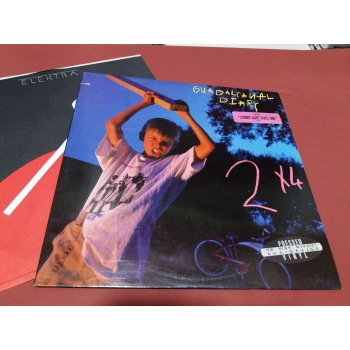 GUADALCANAL DIARY  2 X 4