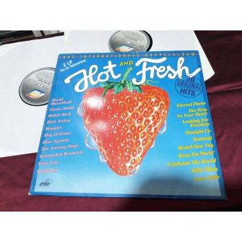 HOT AND FRESH INTERNATIONAL HITS 2 LP