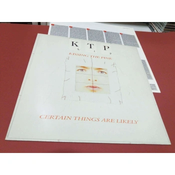 KISSING THE PINK CERTAIN THINGS ARE LIKELY