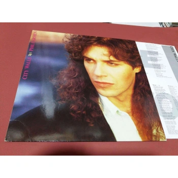 PHIL CARMEN CITY WALLS