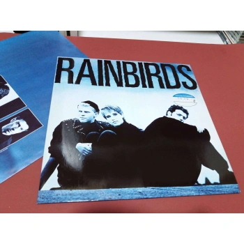 RAINBIRDS LP ALBUM