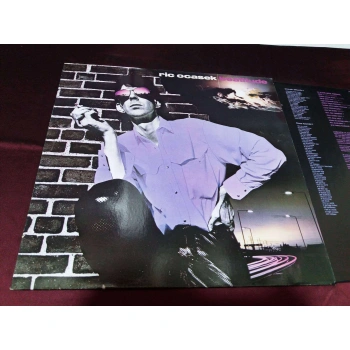 RIC OCASEK BEATITUDE