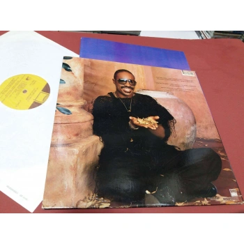 STEVIE WONDER IN SQUARE CIRCLE