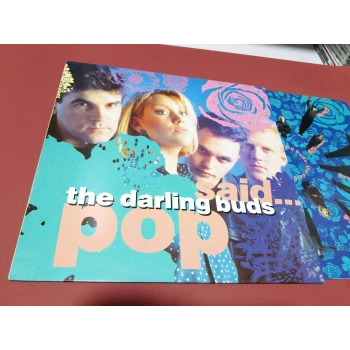 THE DARLING BUDS SAID