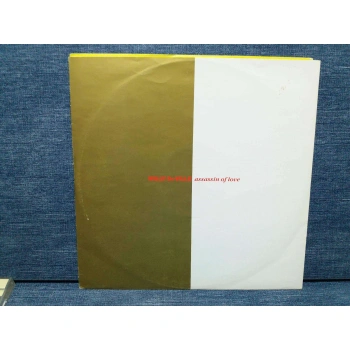 WILLY DE VILLE ASSASSIN OF LOVE MAXI LP